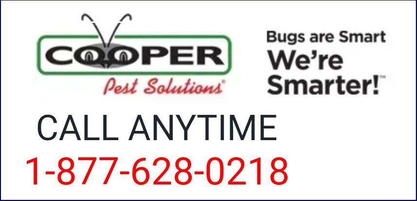 cooper-pest